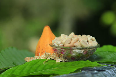 Close-up of rose on leaves