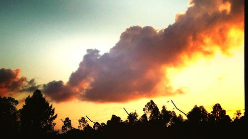 Silhouette trees against dramatic sky during sunset