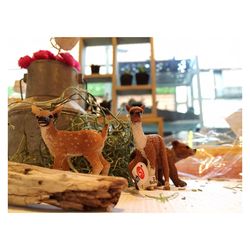 Surface level of white surface