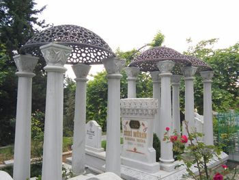 Statues on tree trunk