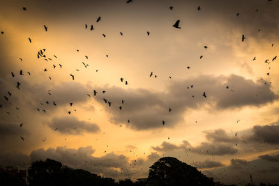 Low angle view of silhouette birds flying against sky