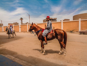 Man riding horses on road against sky