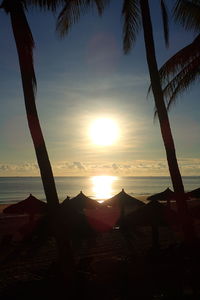 Silhouette trees on beach against sky during sunset