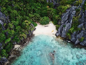 High angle view of sea by trees