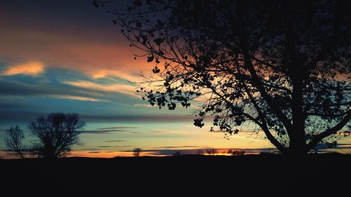 Silhouette trees against calm sea at sunset