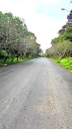 Road amidst trees against sky