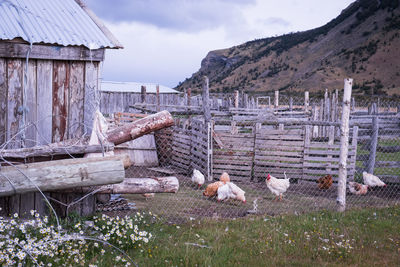 View of an animal pen on field