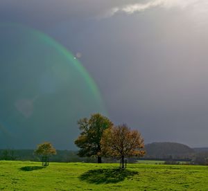 Trees on field against rainbow in sky