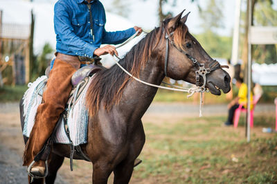 Full length of man holding horse outdoors