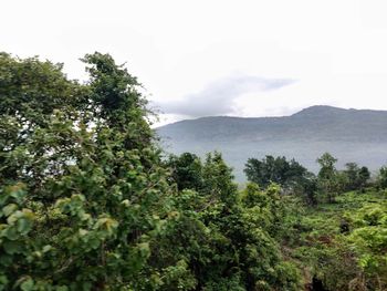 Scenic view of trees and mountains against sky