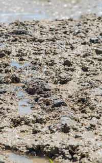 Full frame shot of mud on beach