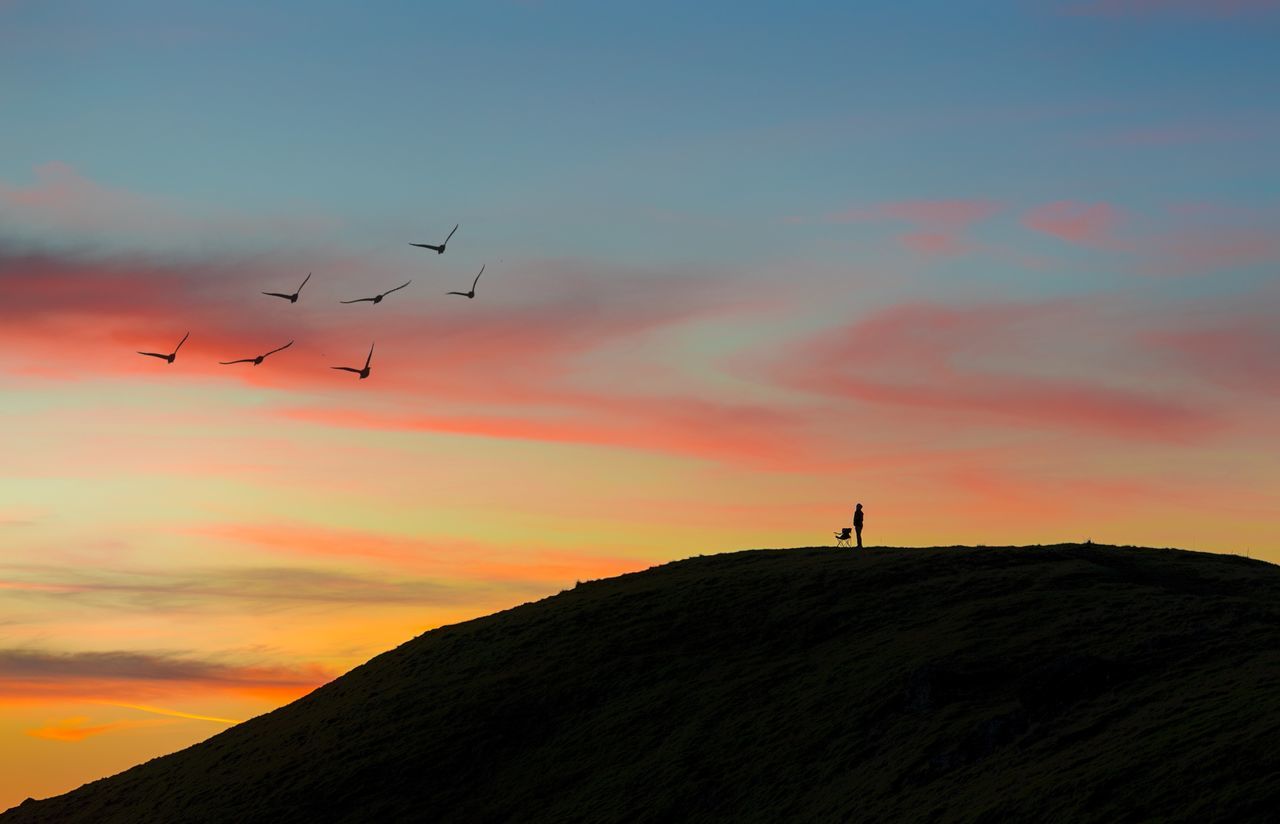 sunset, silhouette, bird, flying, sky, animal themes, scenics, beauty in nature, tranquil scene, animals in the wild, mountain, orange color, tranquility, landscape, nature, low angle view, cloud - sky, wildlife
