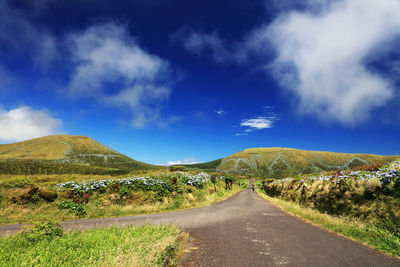 Road amidst green landscape against blue sky