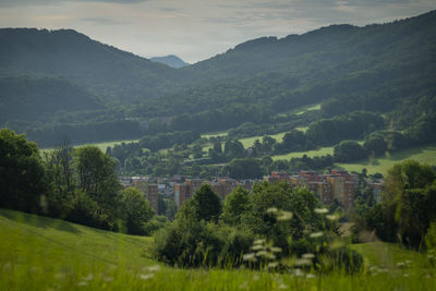 High angle view of trees and mountains against sky