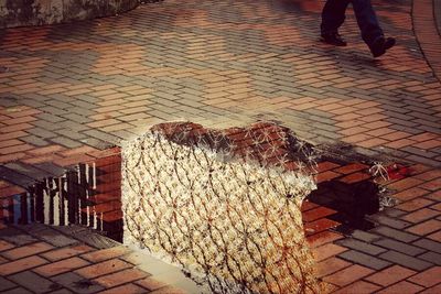 Shadow of person on sidewalk