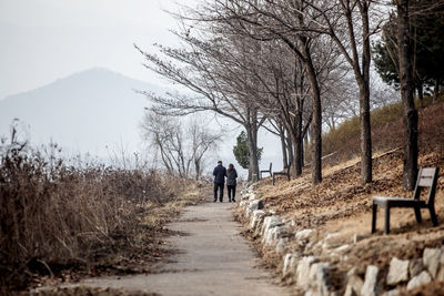 Rear view of friends walking on dirt road amidst bare trees