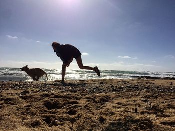 Silhouette dog standing on beach against sky