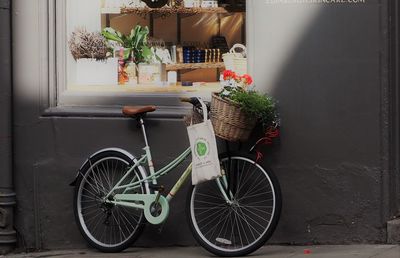 Bicycle on potted plant against building