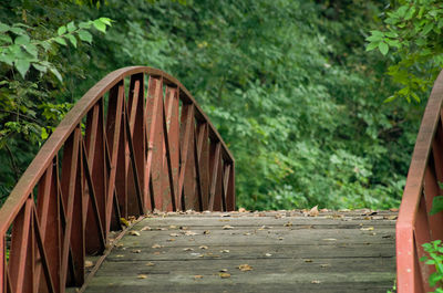 Wooden bridge amidst trees in forest