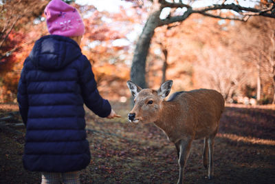 Rear view of girl feeding deer while standing on field in forest