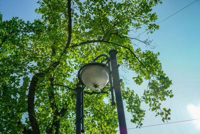 Low angle view of street light against sky