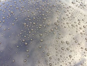 Full frame shot of water drops on rainy day