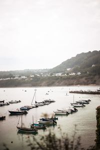 Sailboats moored in harbor against sky