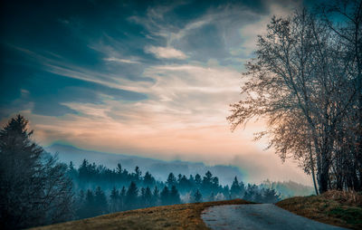 Road amidst trees against sky during sunset