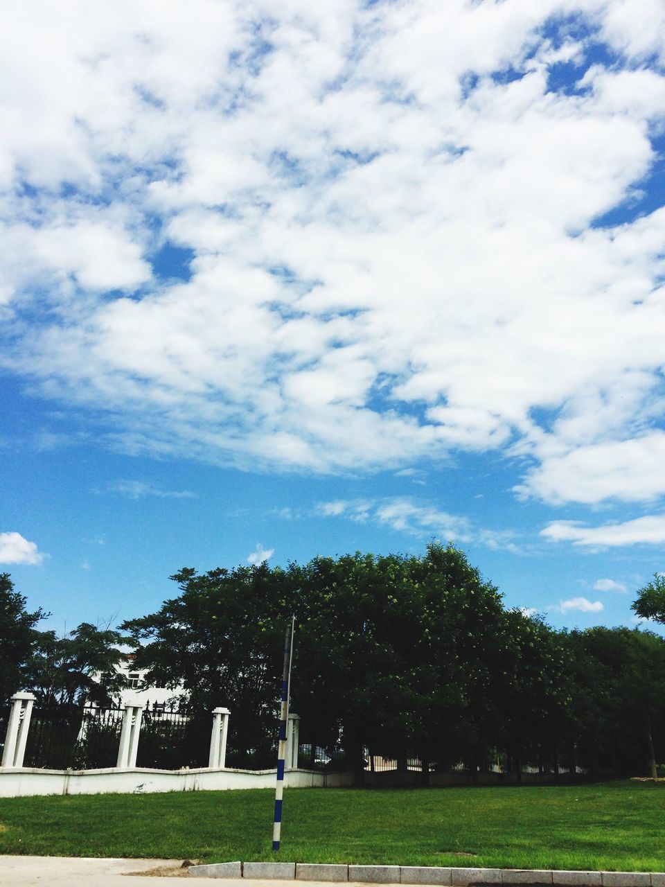 tree, grass, sky, cloud - sky, park - man made space, green color, field, growth, cloud, cloudy, nature, grassy, park, lawn, day, tranquility, built structure, beauty in nature, tranquil scene, landscape