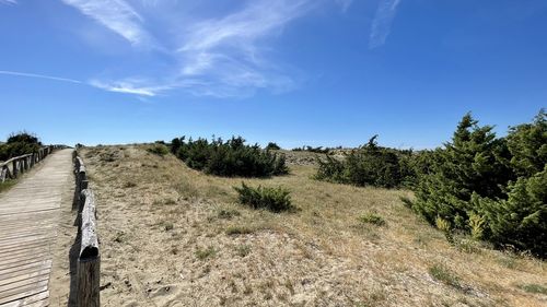 Panoramic view of landscape against blue sky with beach dunes 