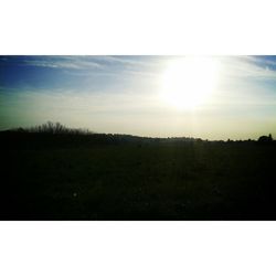 Sun shining through trees on field