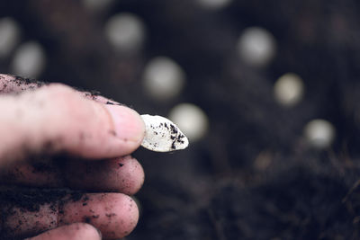 Close-up of hand holding cigarette