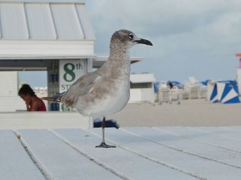 Person in front of building