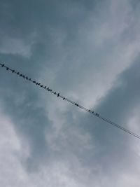 Low angle view of silhouette birds flying against sky