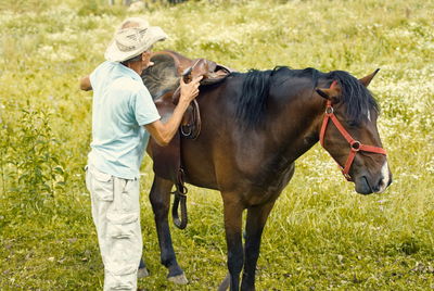 Horse standing in a field