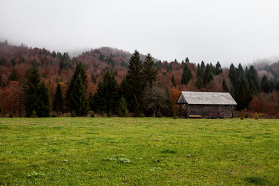 Trees on field against sky