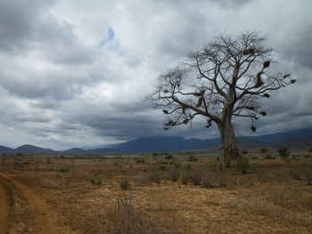 Scenic view of landscape against cloudy sky