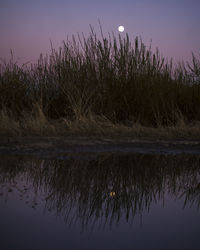 Scenic view of lake against sky at sunset