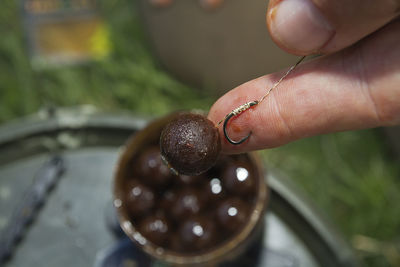 Close-up of hand holding animal eye