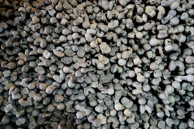 Full frame shot of stacked bones at st leonards church