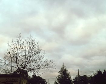 Low angle view of silhouette trees against sky