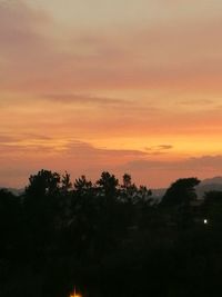 Silhouette trees against sky during sunset