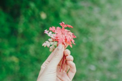 Cropped image of person holding leaves during autumn