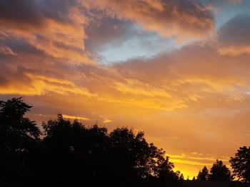 Low angle view of silhouette trees against sky during sunset