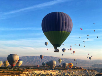 Hot air balloons flying against sky