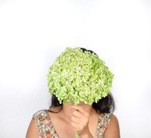Close-up of woman holding hydrangea over white background