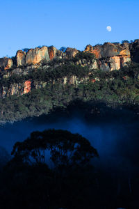 View of plants growing on rock against blue sky