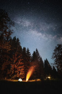 Trees against sky at night