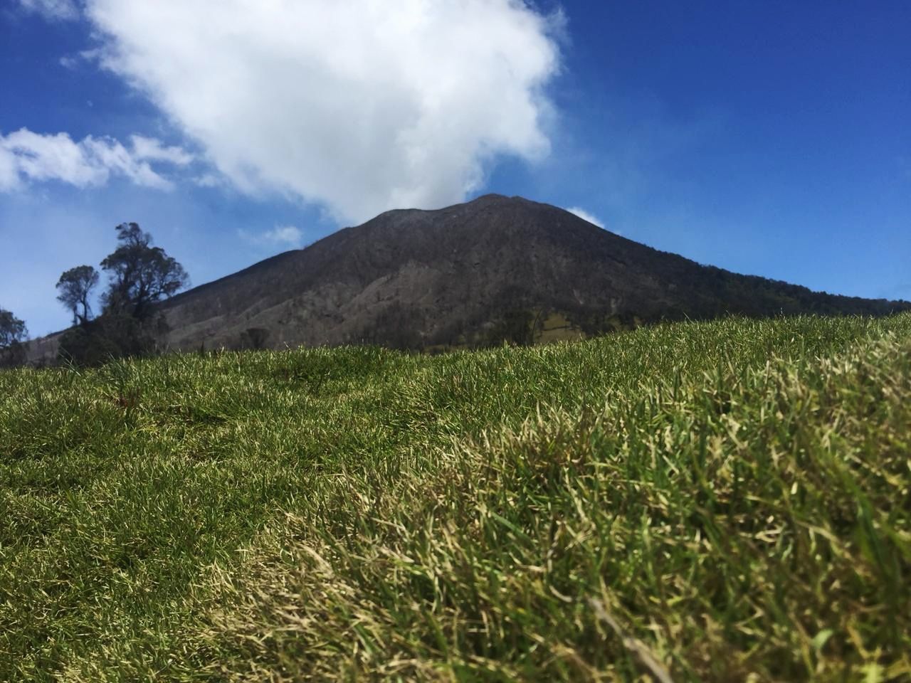 mountain, sky, plant, grass, beauty in nature, scenics - nature, tranquil scene, environment, land, tranquility, nature, landscape, cloud - sky, growth, green color, no people, field, day, non-urban scene, outdoors, mountain peak