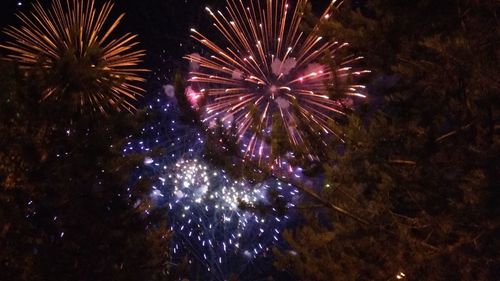 Low angle view of firework display at night